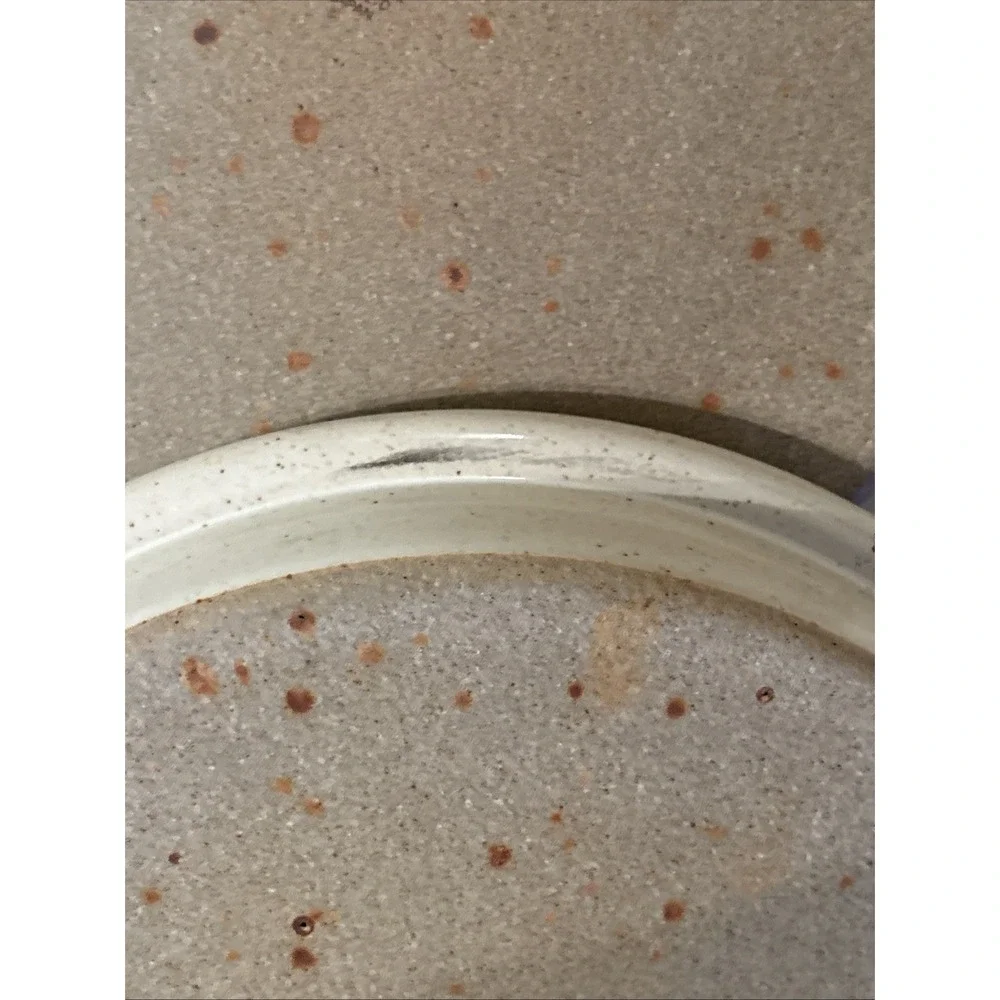 Dansk BLT Sandstone Dinner Plate. 9-5/8